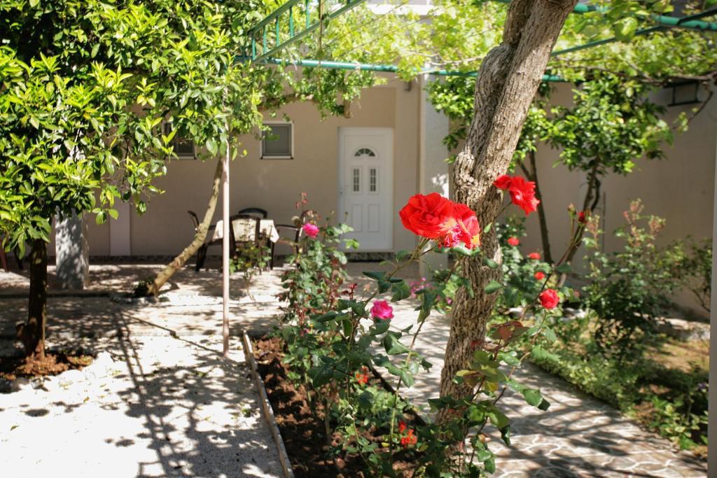 Apartments Obala - Katic Herceg Novi Kültér fotó